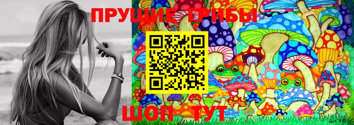 Псилоцибиновые грибы Psilocybe  Псилоцибиновые грибы GOLDEN TEACHER  Рославль  Вход с VPN 